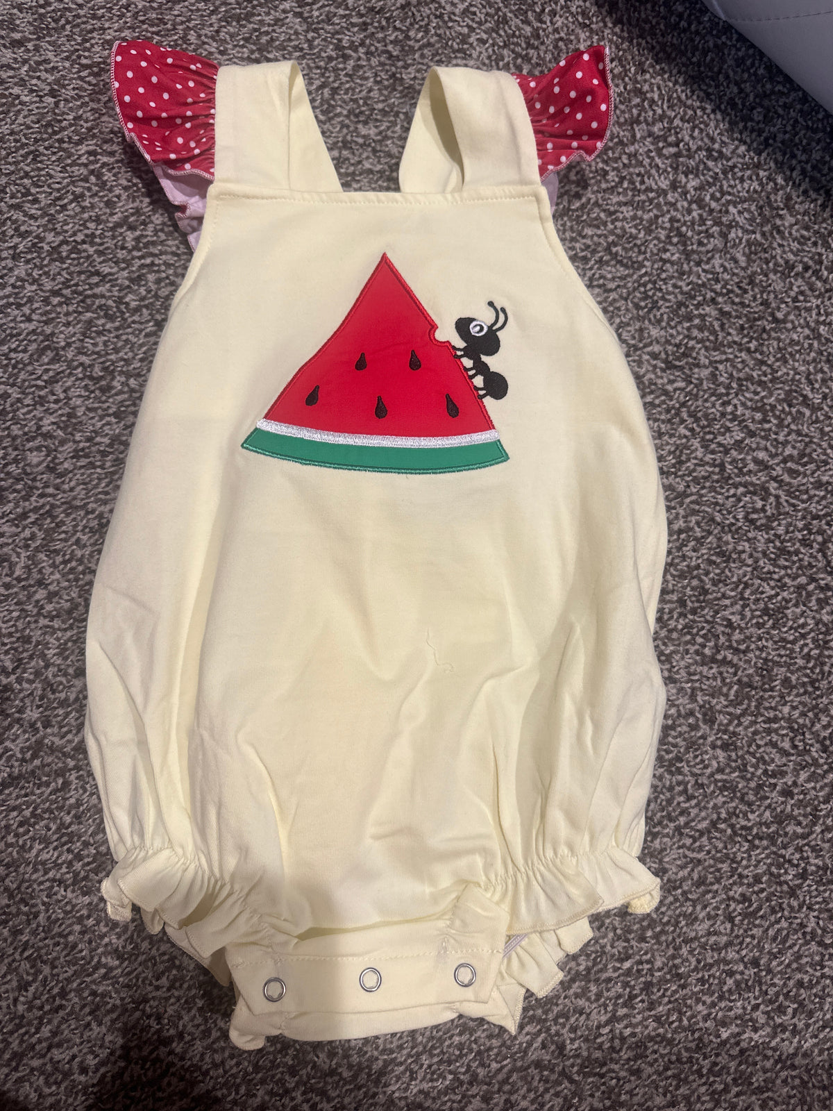 Watermelon Picnic