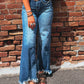 Ashleigh Blue High Waist Frayed Hem Flare Jeans