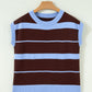Sky Blue Stripe Striped Short Sleeve Round Neck Casual Knit Top
