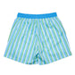 Men's Blue and Green Striped Swim Trunks-FINAL SALE